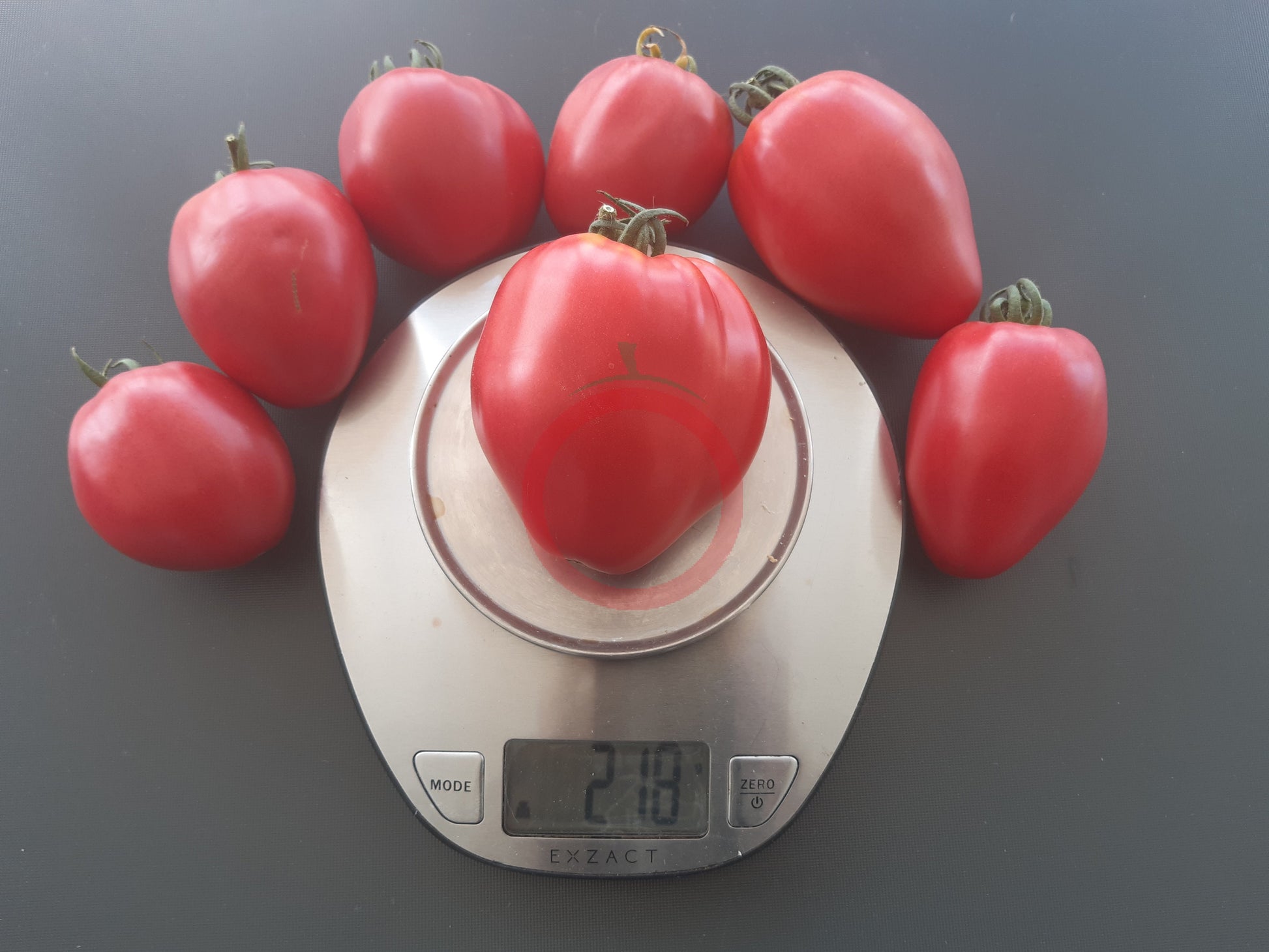 Herztomate Rast DER TOMATENFLÜSTERER