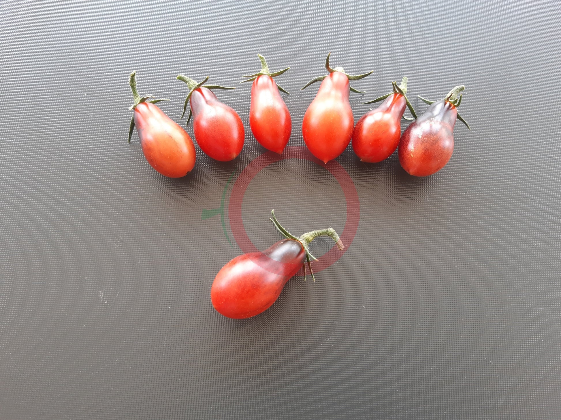 Indigo Pear Drops Pink DER TOMATENFLÜSTERER