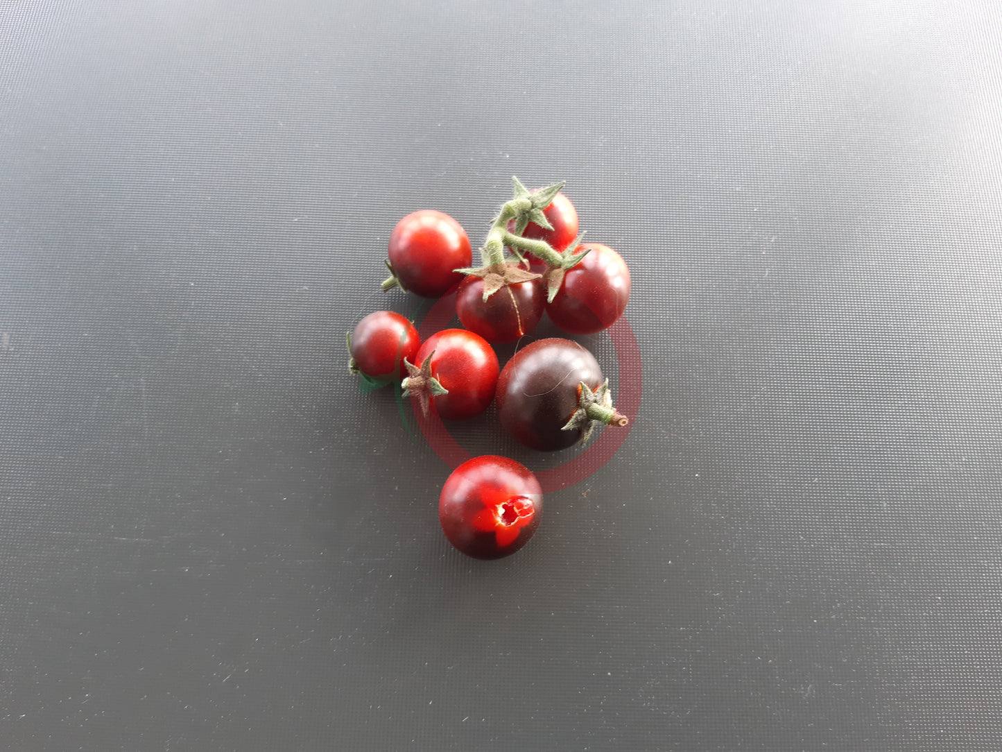 Inkspot DER TOMATENFLÜSTERER