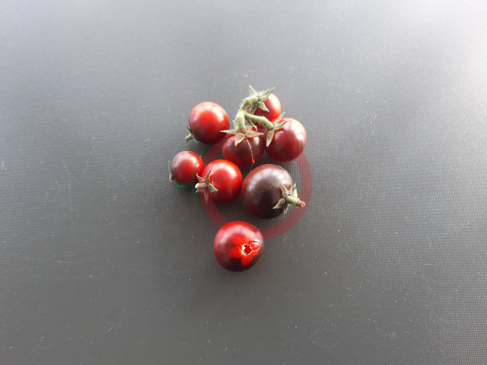 Inkspot DER TOMATENFLÜSTERER