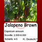 Jalapeno Brown DER TOMATENFLÜSTERER
