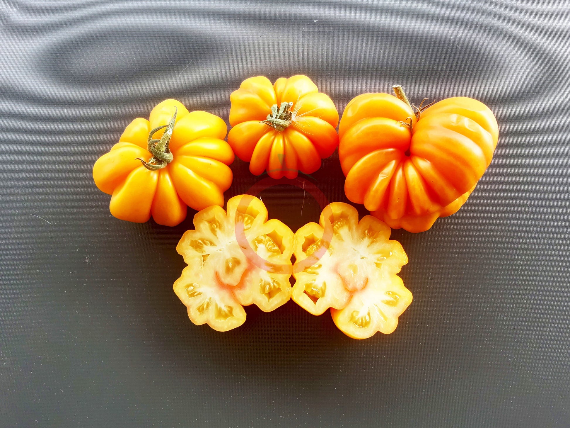 Jaune Côtelée de Montlouis DER TOMATENFLÜSTERER