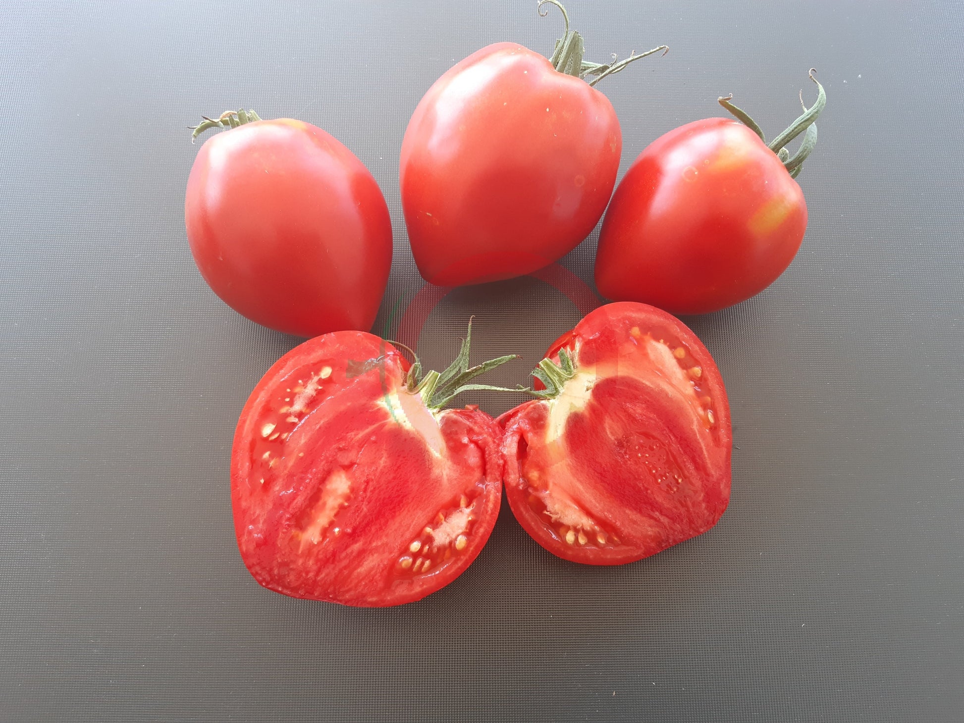 Konus DER TOMATENFLÜSTERER