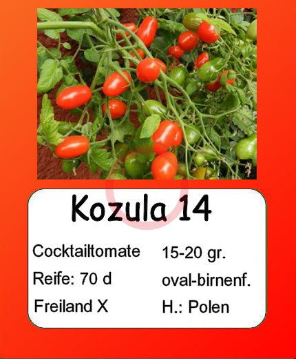 Kozula 14 DER TOMATENFLÜSTERER
