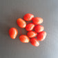 Kozula 14 DER TOMATENFLÜSTERER