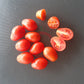 Kozula 14 DER TOMATENFLÜSTERER