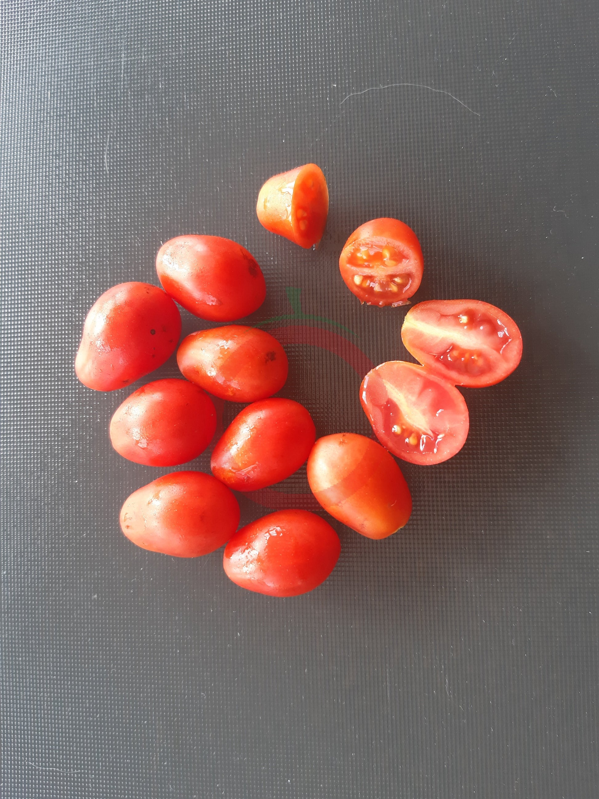 Kozula 14 DER TOMATENFLÜSTERER