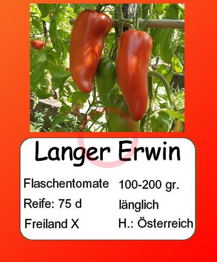 Langer Erwin DER TOMATENFLÜSTERER