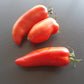 Langer Erwin DER TOMATENFLÜSTERER