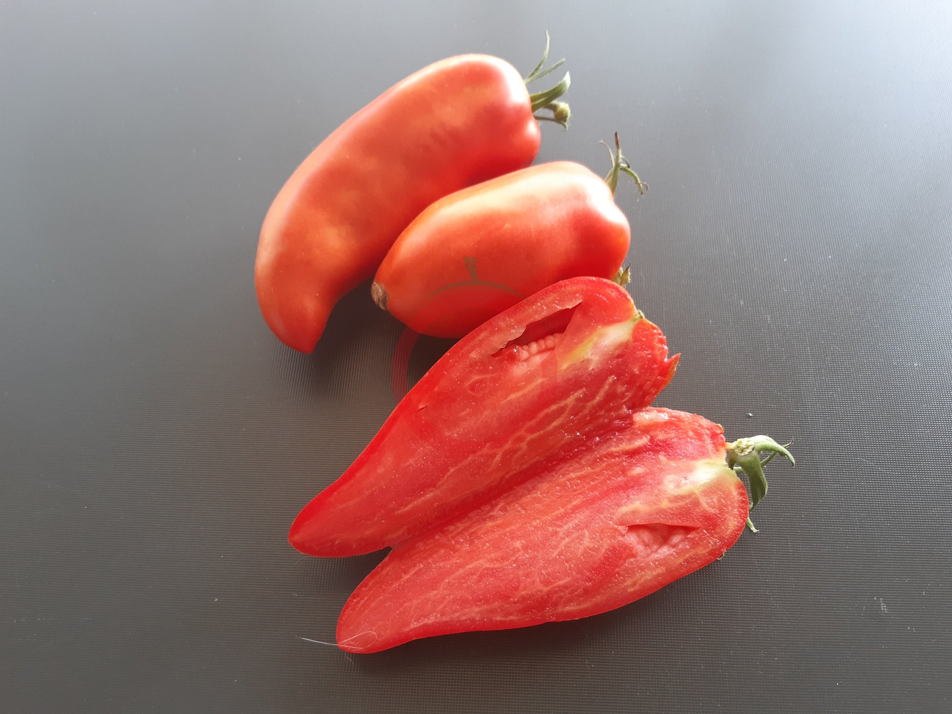 Langer Erwin DER TOMATENFLÜSTERER