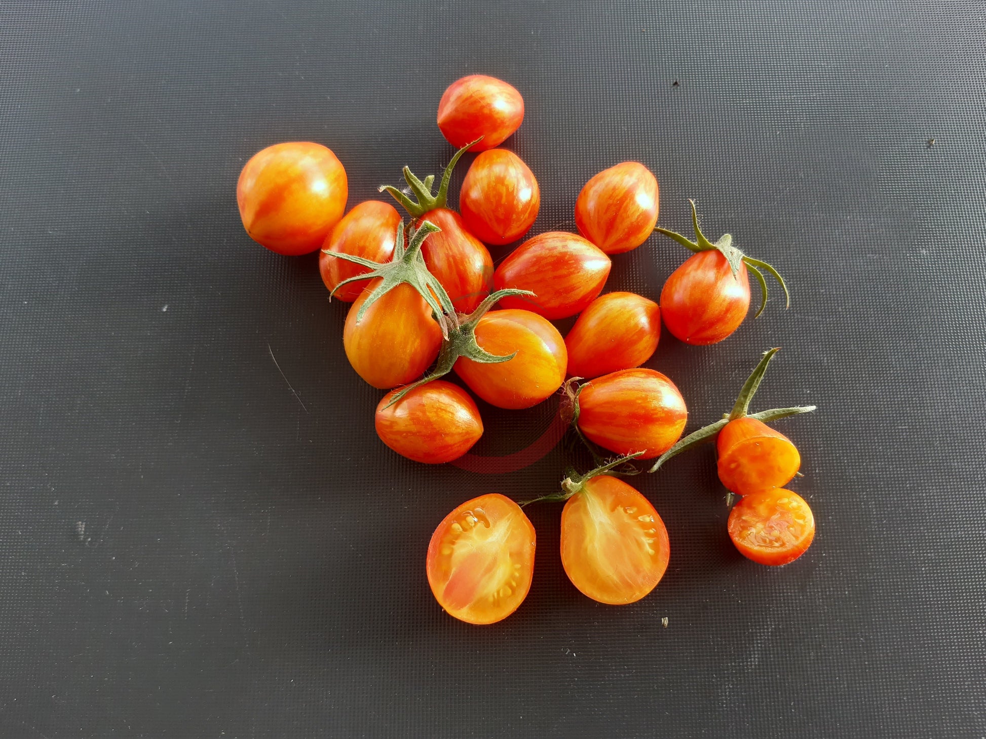 Lucfichoise DER TOMATENFLÜSTERER