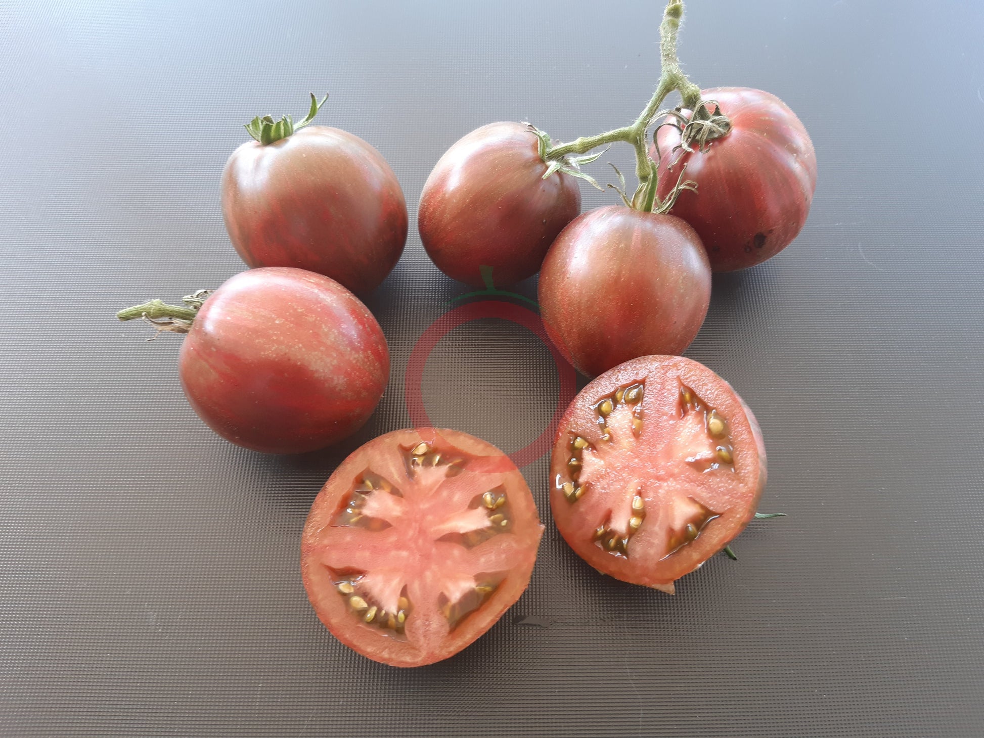 Moonlight Mile DER TOMATENFLÜSTERER