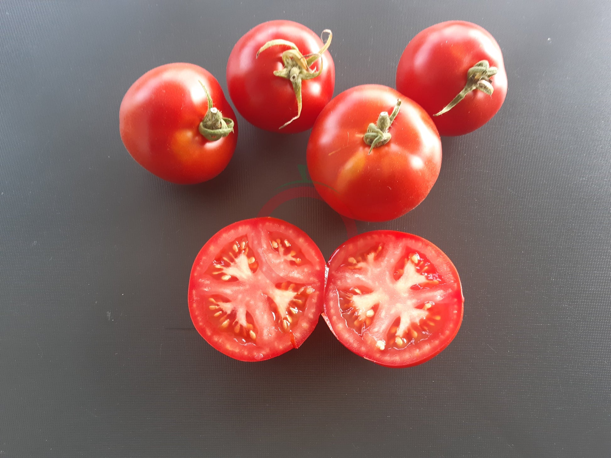 Nochtli DER TOMATENFLÜSTERER
