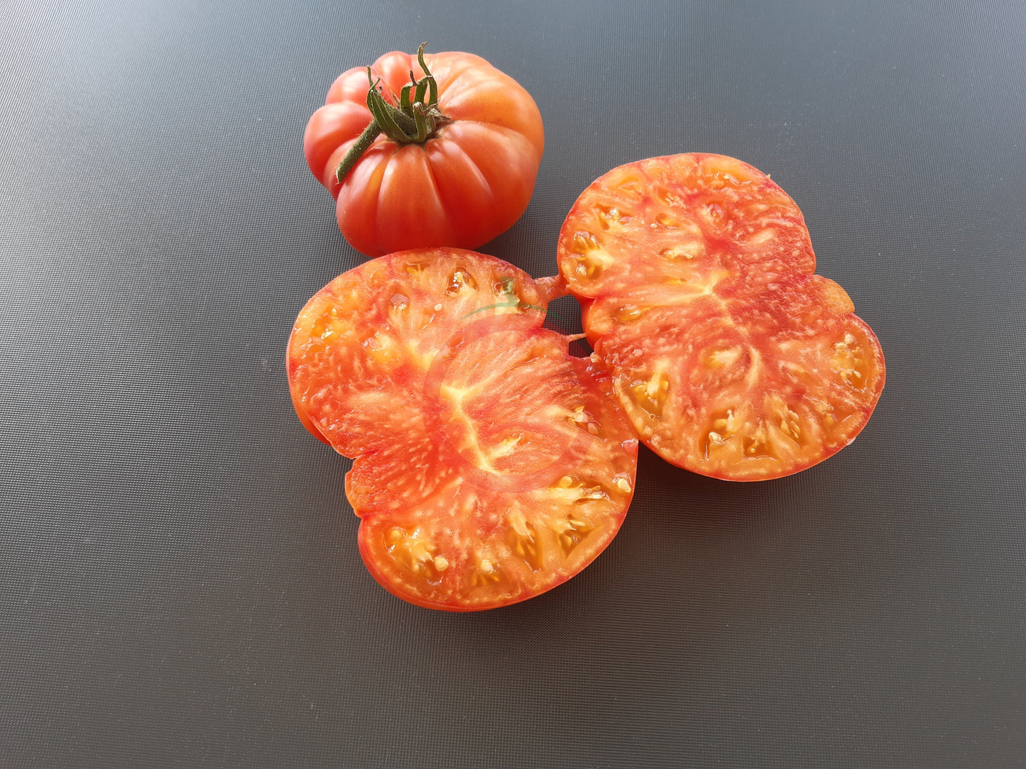 Oaxacan Jewel DER TOMATENFLÜSTERER
