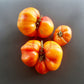 Orange Orangutan DER TOMATENFLÜSTERER