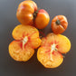 Orange Orangutan DER TOMATENFLÜSTERER