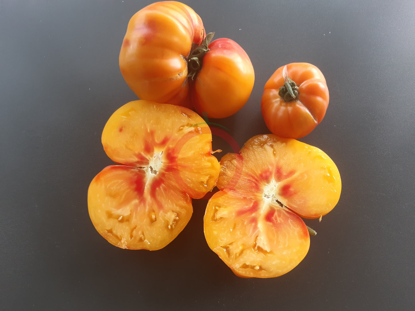 Orange Orangutan DER TOMATENFLÜSTERER