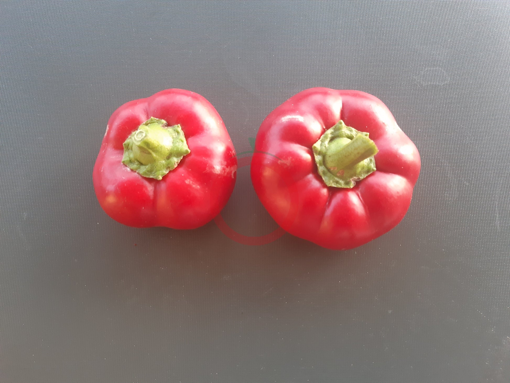 Paradeispaprika Stekovics DER TOMATENFLÜSTERER