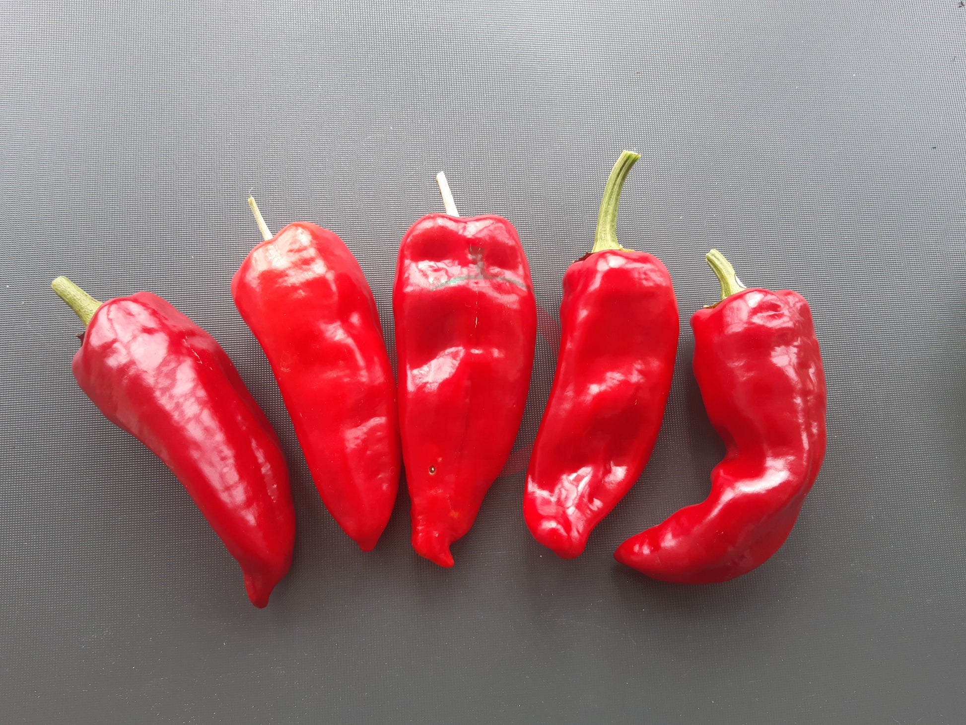 Piment de Bresse DER TOMATENFLÜSTERER