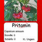 Pritamin DER TOMATENFLÜSTERER