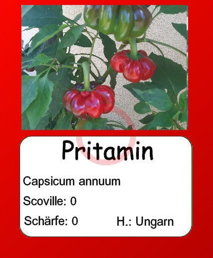 Pritamin DER TOMATENFLÜSTERER