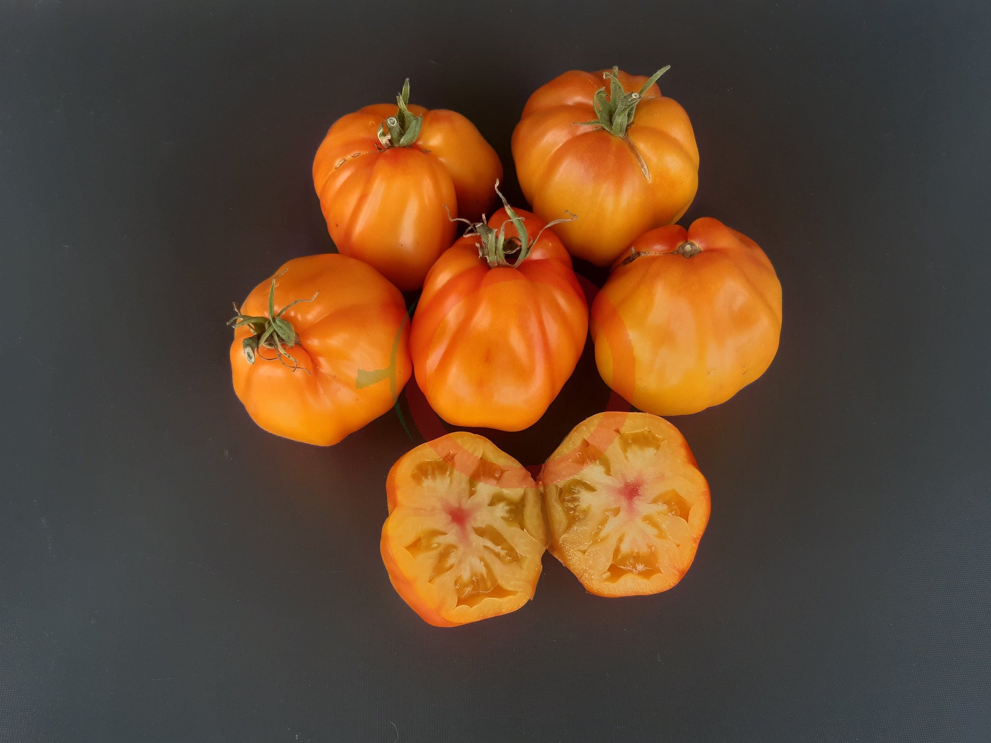 Prozorlivyy Koldun DER TOMATENFLÜSTERER