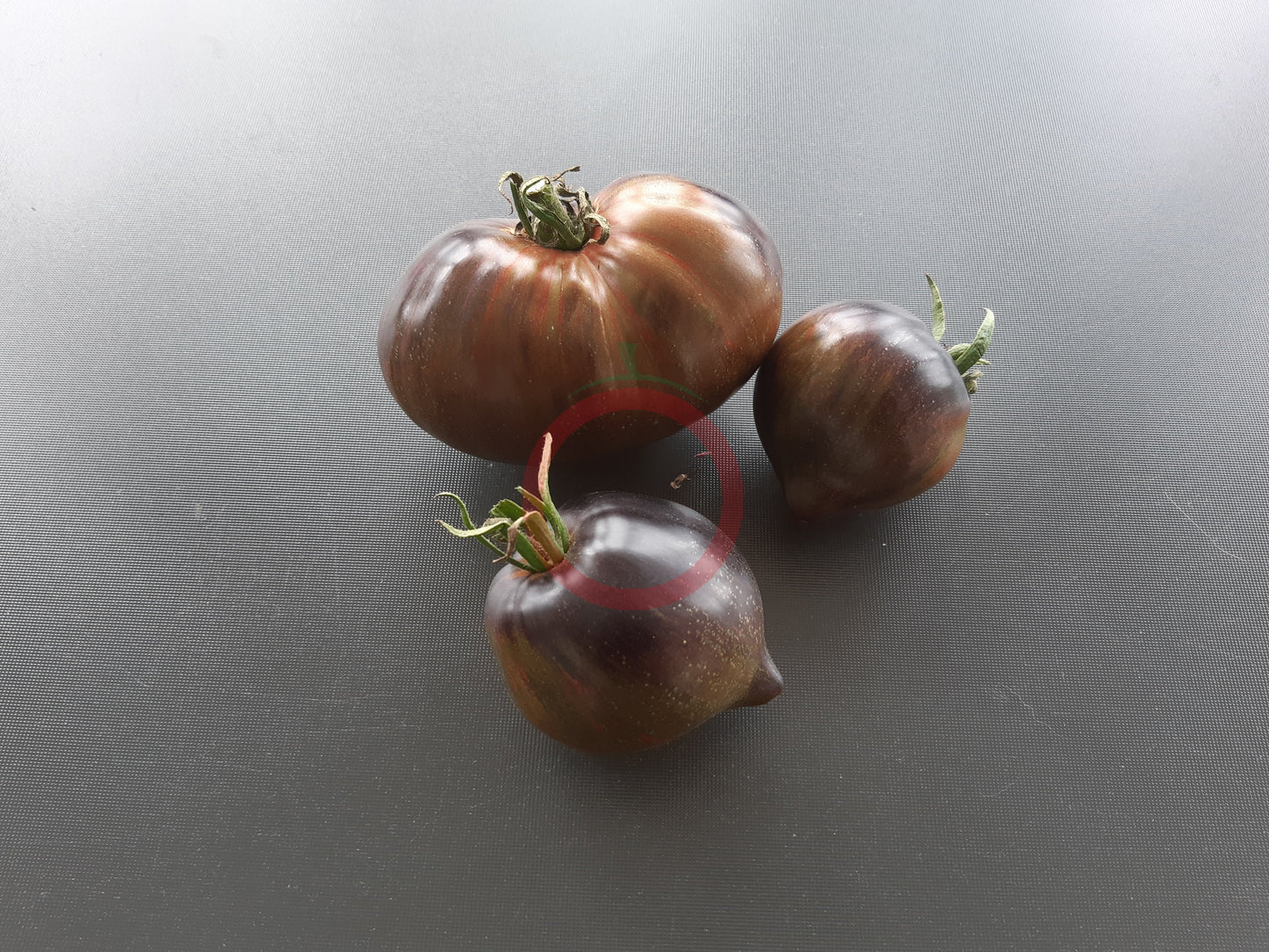 Rebel Starfighter Prime DER TOMATENFLÜSTERER