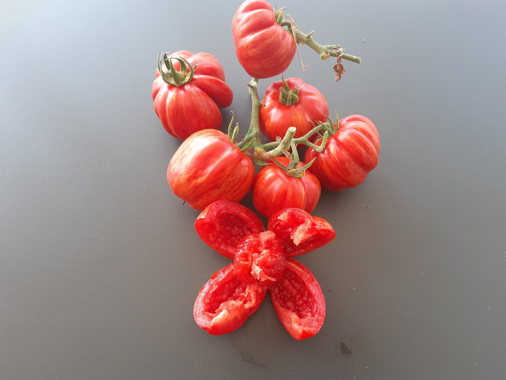 Red Cavern DER TOMATENFLÜSTERER