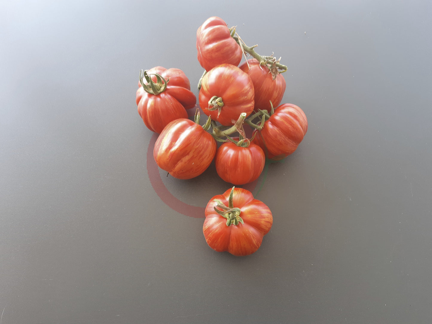Red Cavern DER TOMATENFLÜSTERER
