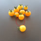 Reinhards Goldkirsche DER TOMATENFLÜSTERER
