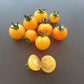 Reinhards Goldkirsche DER TOMATENFLÜSTERER