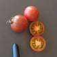 Ron´s Carbon Copy DER TOMATENFLÜSTERER