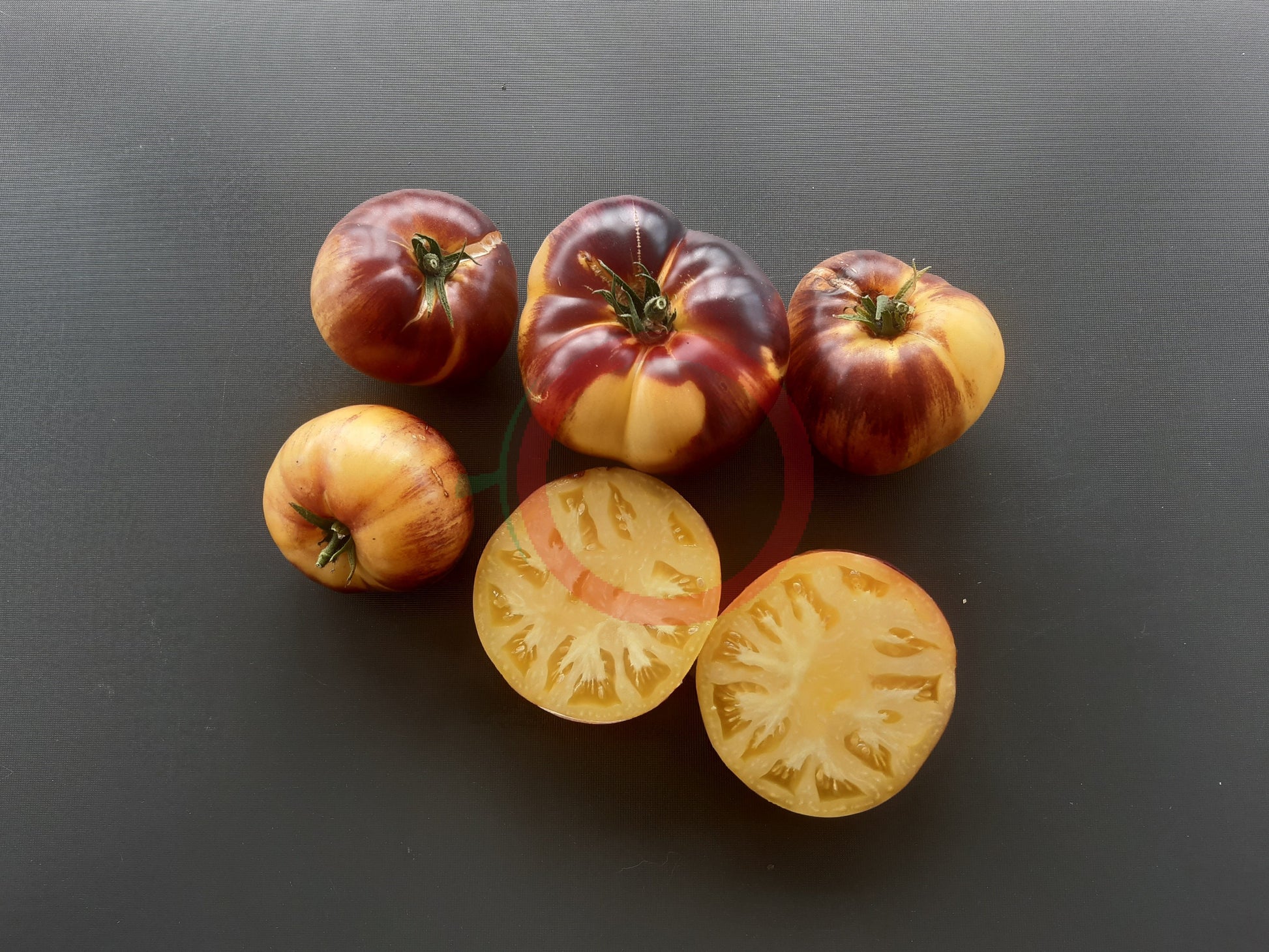 Sart Roloise DER TOMATENFLÜSTERER