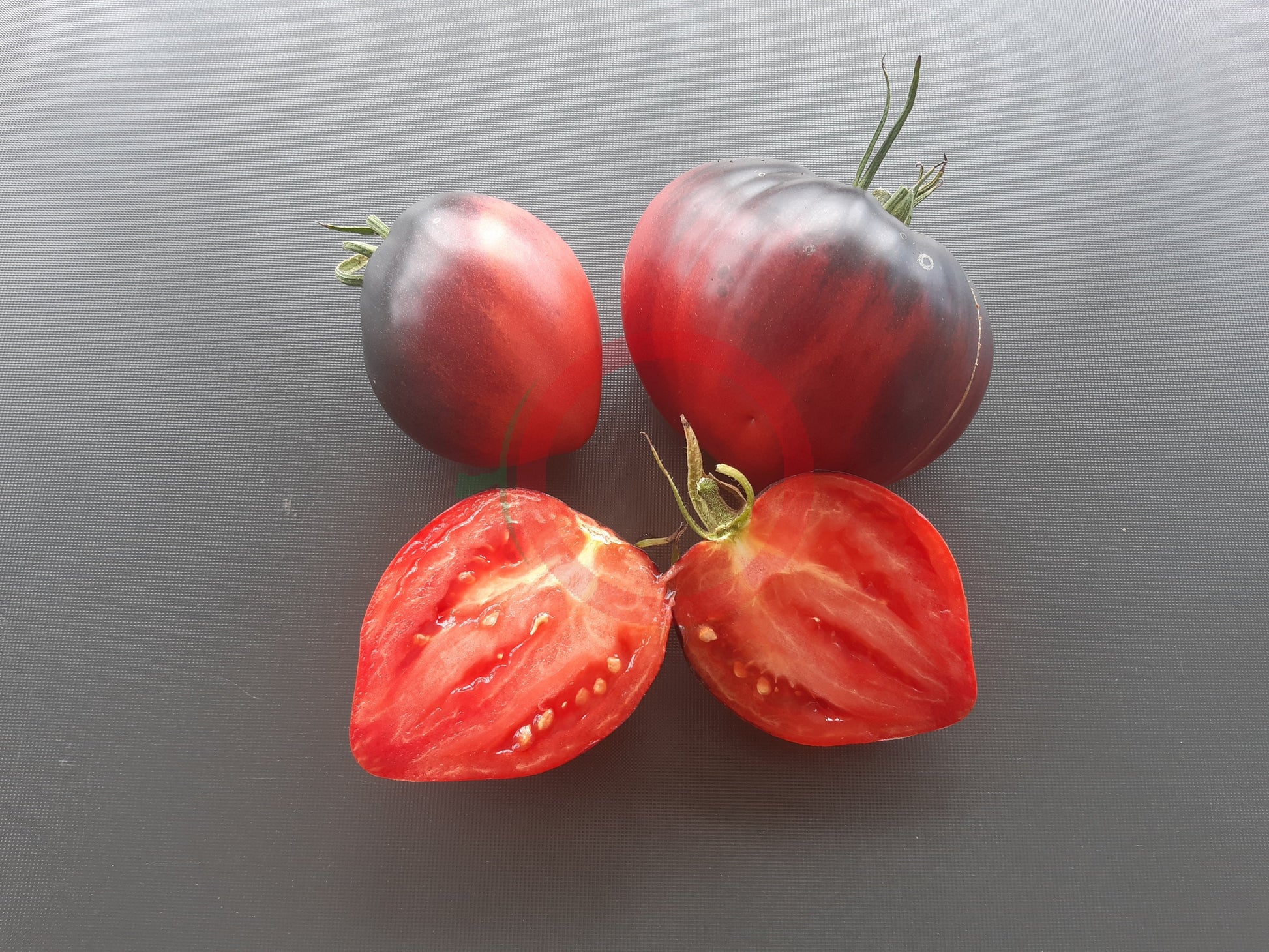 Sgt. Pepper´s DER TOMATENFLÜSTERER