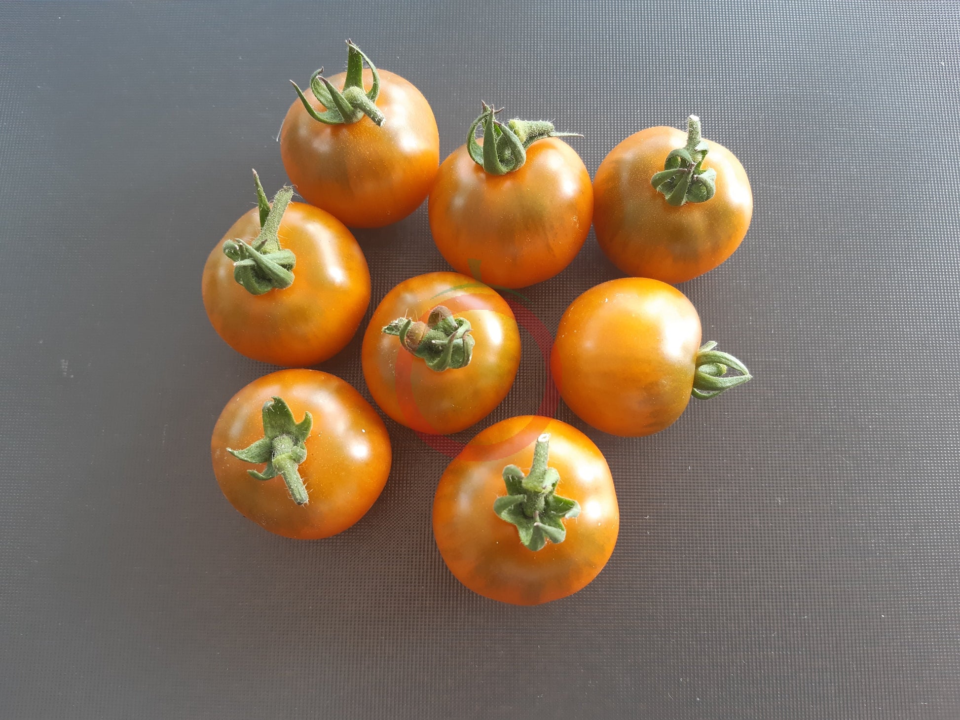 Soul Patch DER TOMATENFLÜSTERER