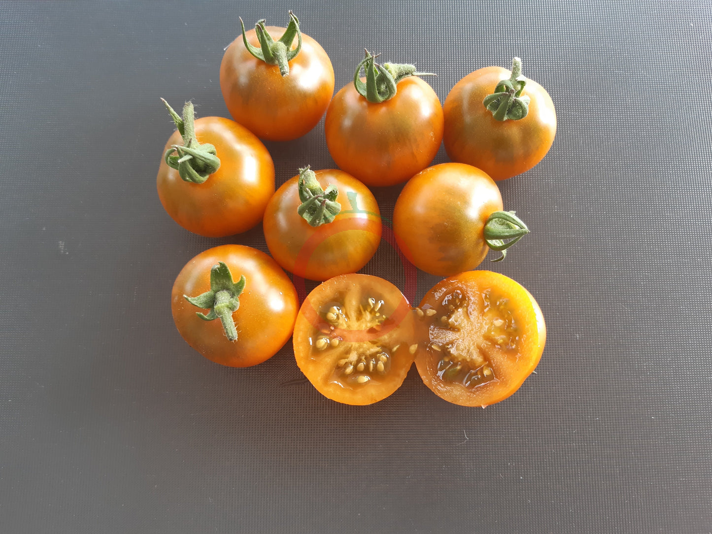 Soul Patch DER TOMATENFLÜSTERER