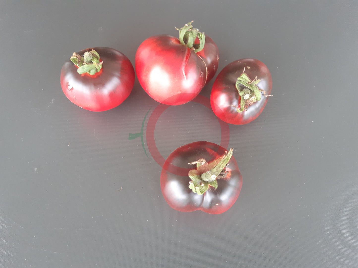 Southern Sparkle DER TOMATENFLÜSTERER