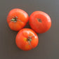 Speckled Siberian DER TOMATENFLÜSTERER