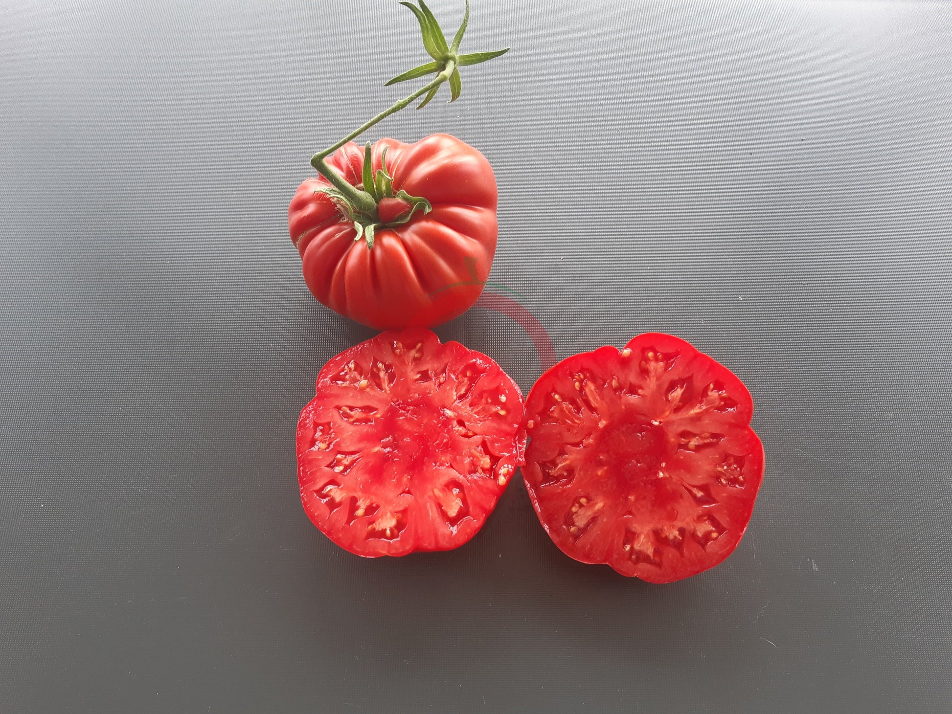 Sumo DER TOMATENFLÜSTERER