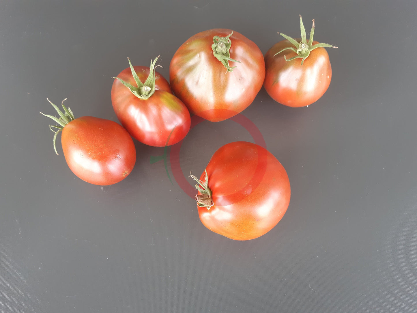 Trifele Black DER TOMATENFLÜSTERER