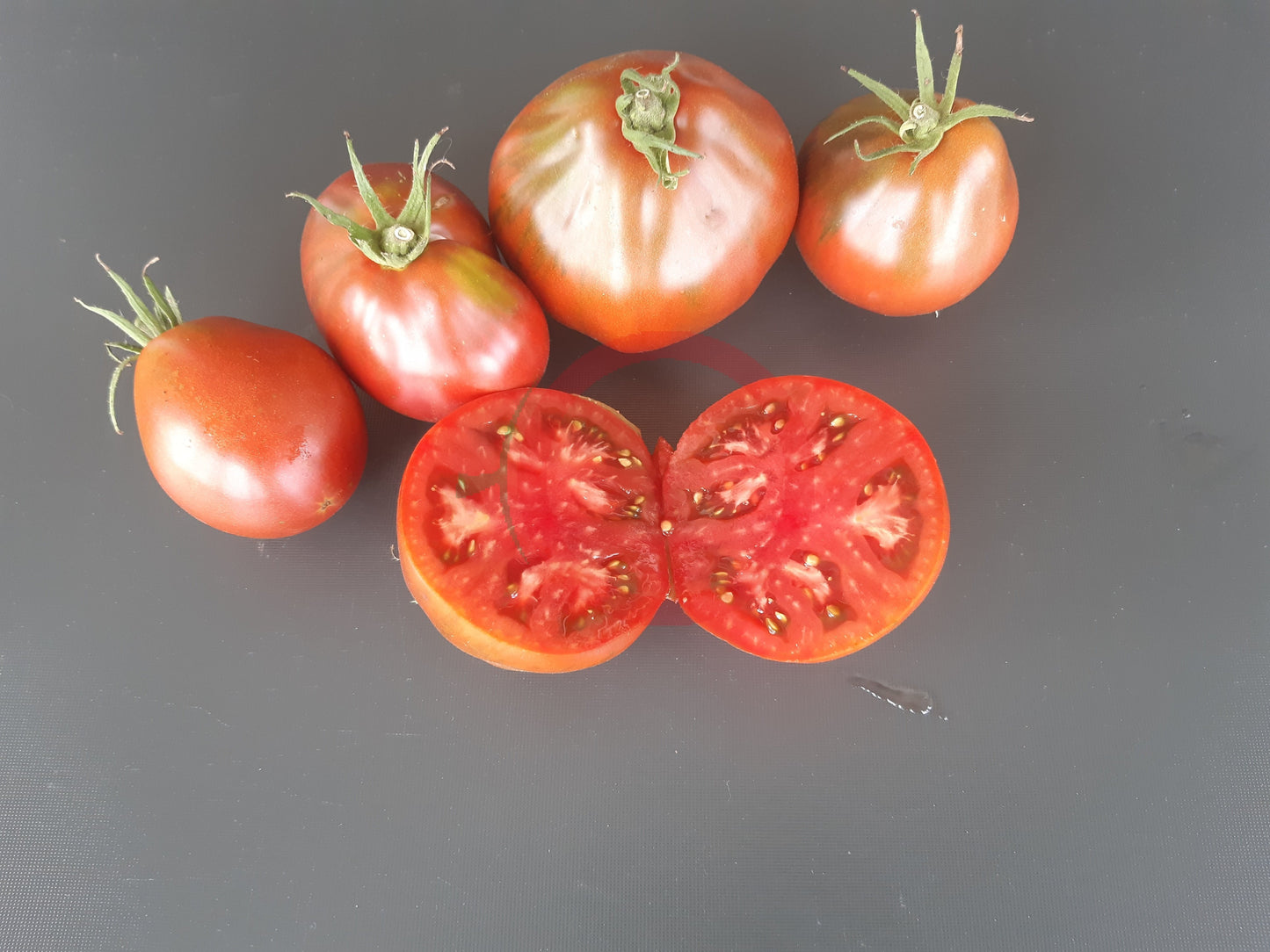 Trifele Black DER TOMATENFLÜSTERER