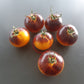 Ussuri Tiger DER TOMATENFLÜSTERER