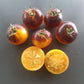 Ussuri Tiger DER TOMATENFLÜSTERER