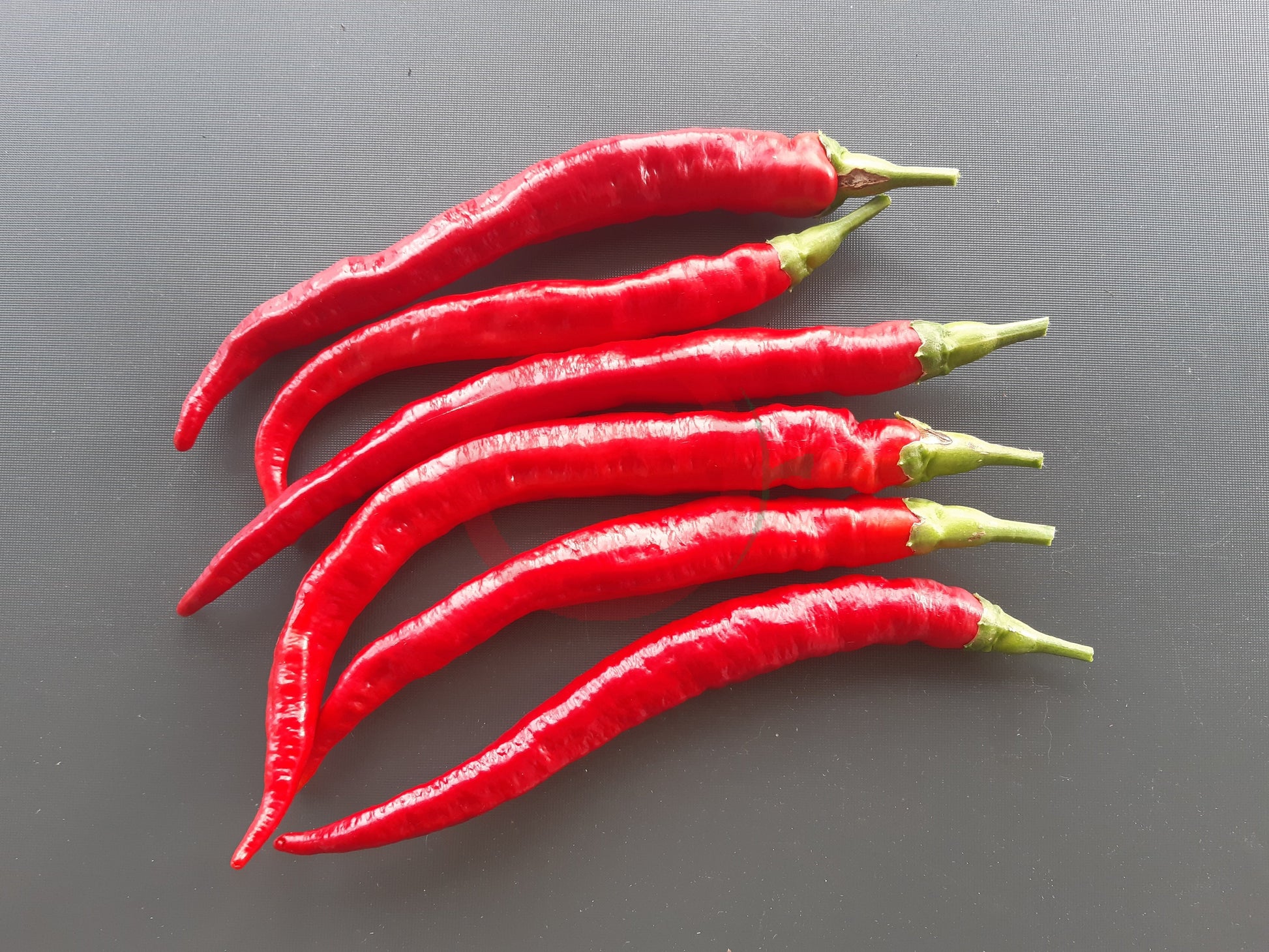 Verato DER TOMATENFLÜSTERER
