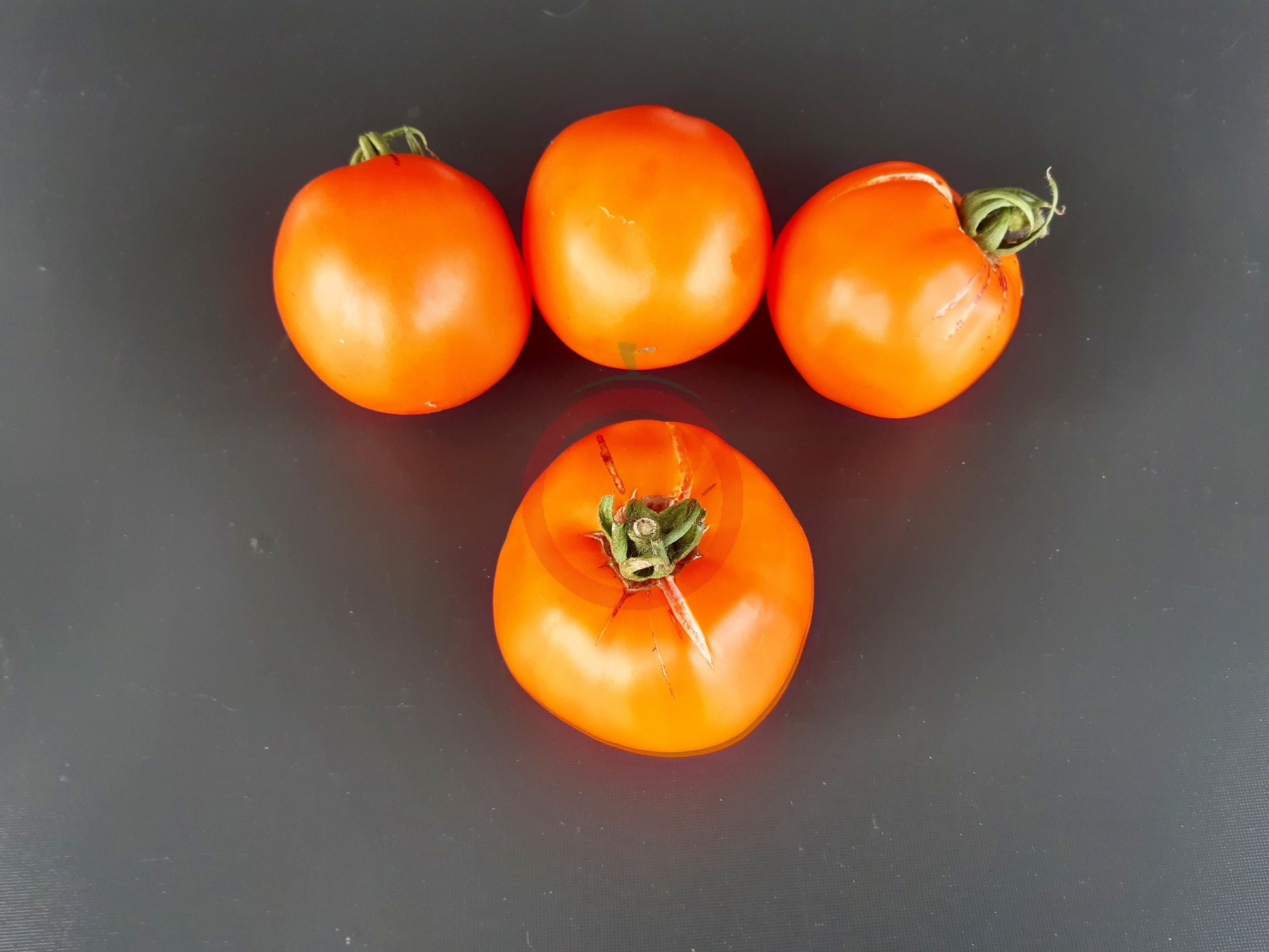 Wald4tler Orange DER TOMATENFLÜSTERER
