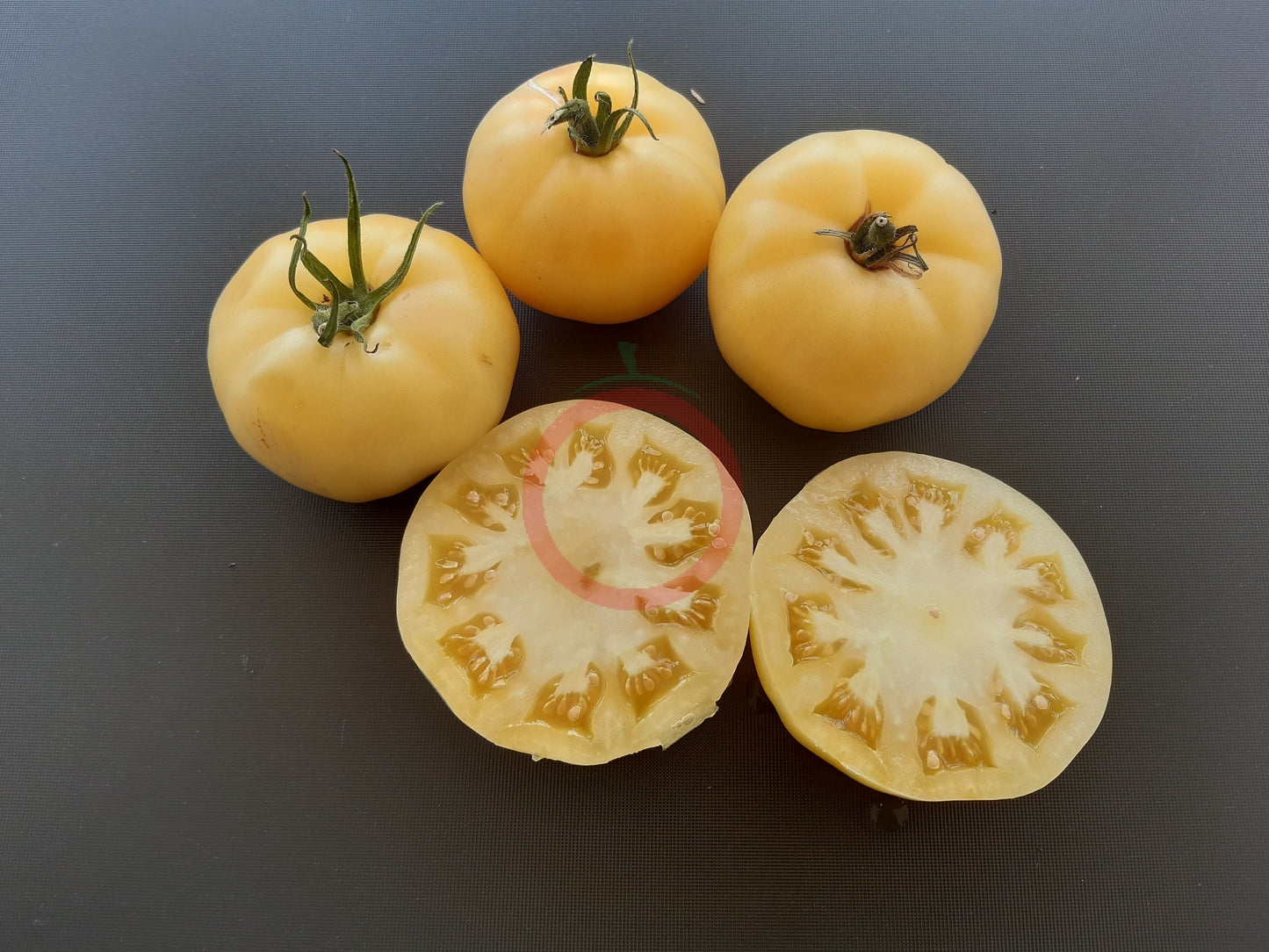 White Wax DER TOMATENFLÜSTERER