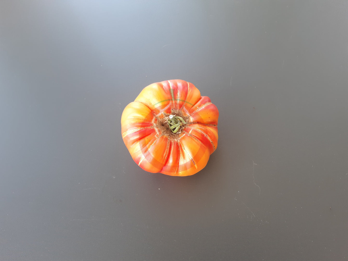 William Striped DER TOMATENFLÜSTERER