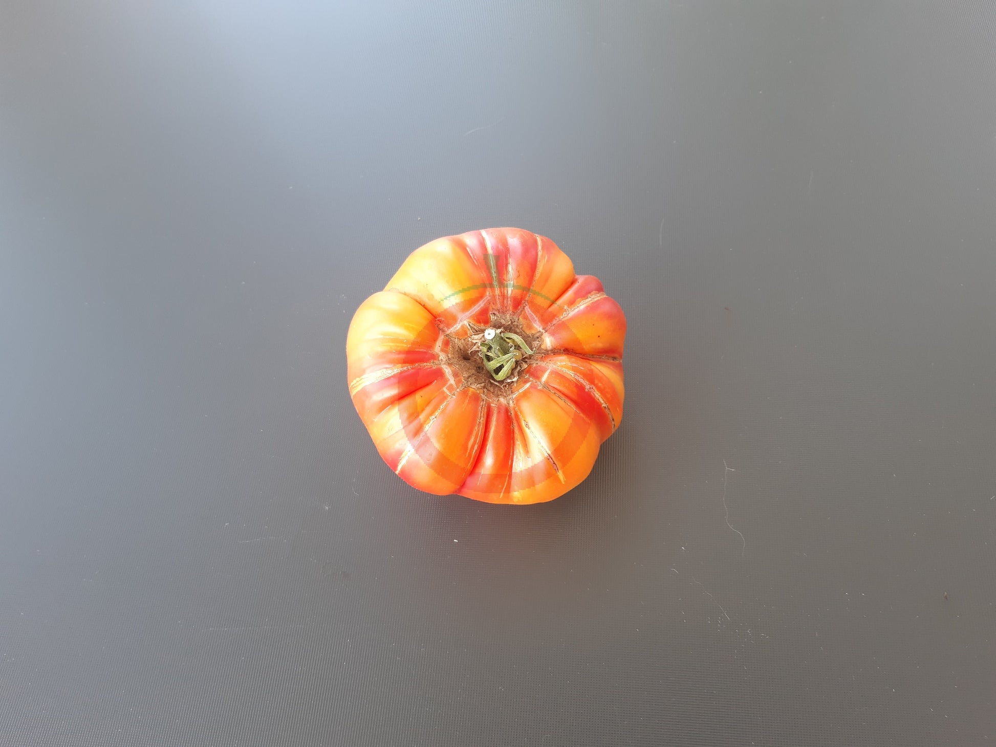 William Striped DER TOMATENFLÜSTERER