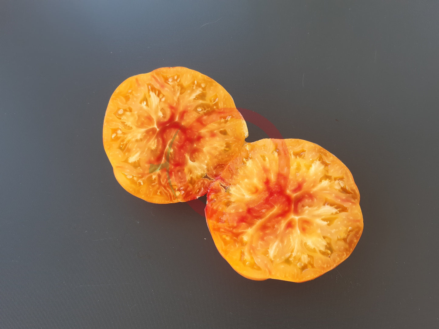 William Striped DER TOMATENFLÜSTERER